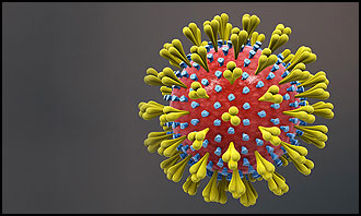 Coronavirus © Wikimedia Commons / CC BY-SA 4.0